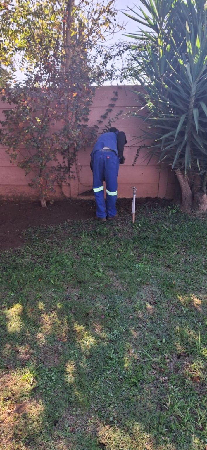 Outdoor property cleaning
